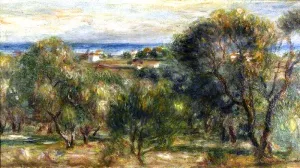 Olive Trees at Cagnes